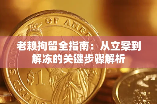 北京老赖拘留全指南：从立案到解冻的关键步骤解析