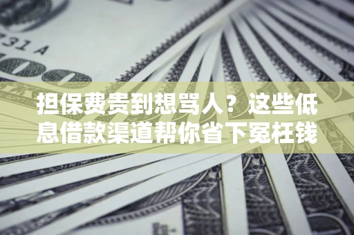 北京担保费贵到想骂人？这些低息借款渠道帮你省下冤枉钱