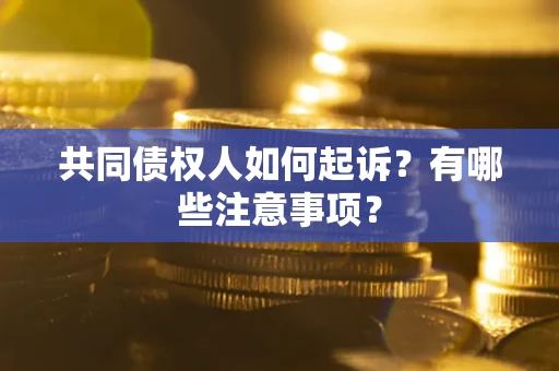 北京共同债权人如何起诉？有哪些注意事项？